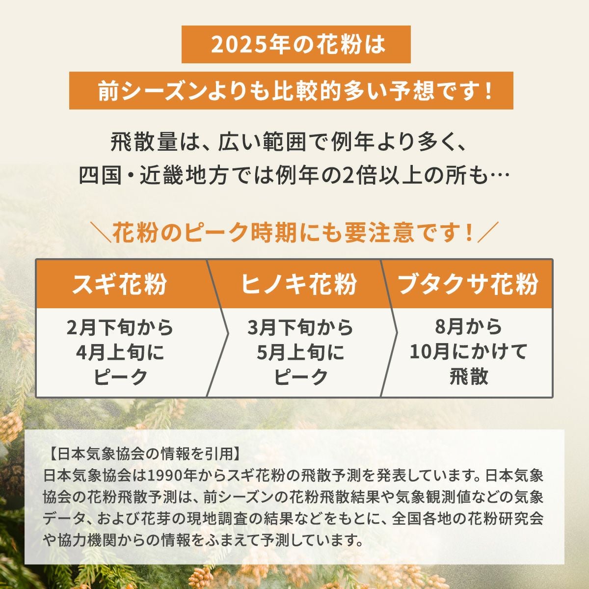 ペット 空気清浄機 ペット向け ペット臭 犬 猫 脱臭強化 小型 ハウスダスト hepa コンパクト 小型 マイナスイオン 活性炭フィルター