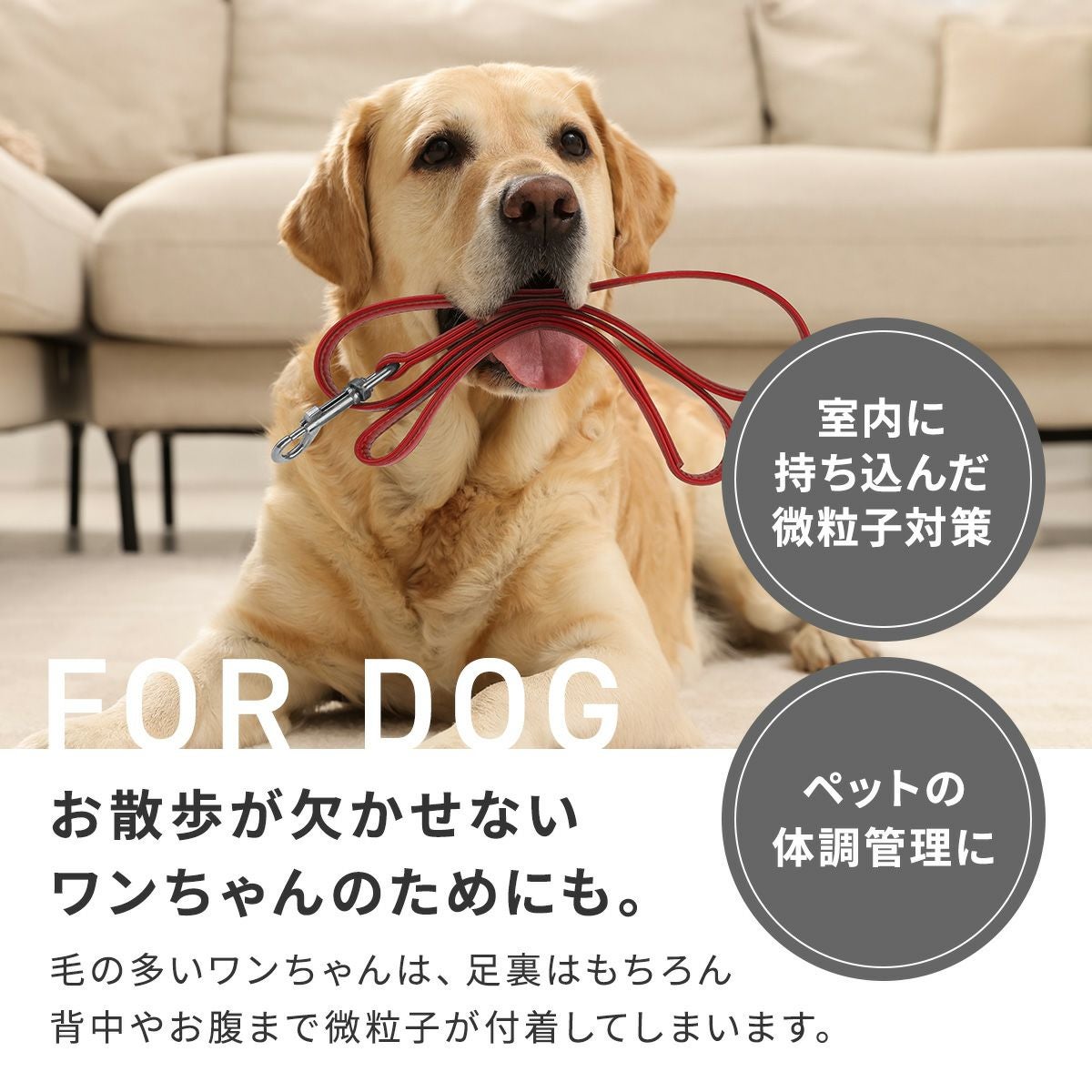 ペット 空気清浄機 ペット向け ペット臭 犬 猫 脱臭強化 小型 ハウスダスト hepa コンパクト 小型 マイナスイオン 活性炭フィルター